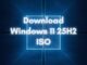 Download Windows 11 25H2 ISO file
