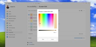 Screen Tint custom color in Windows 11
