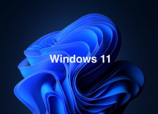 Windows 11 1.6 billion devices