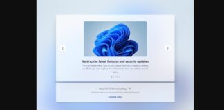 Windows 11 OOBE updates screen