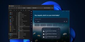 Windows 11 Copilot app
