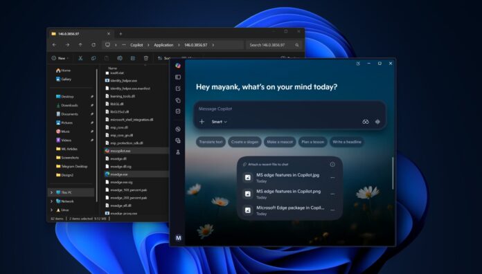 Windows 11 Copilot app