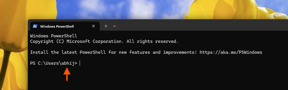 Windows Terminal with my default user profile name