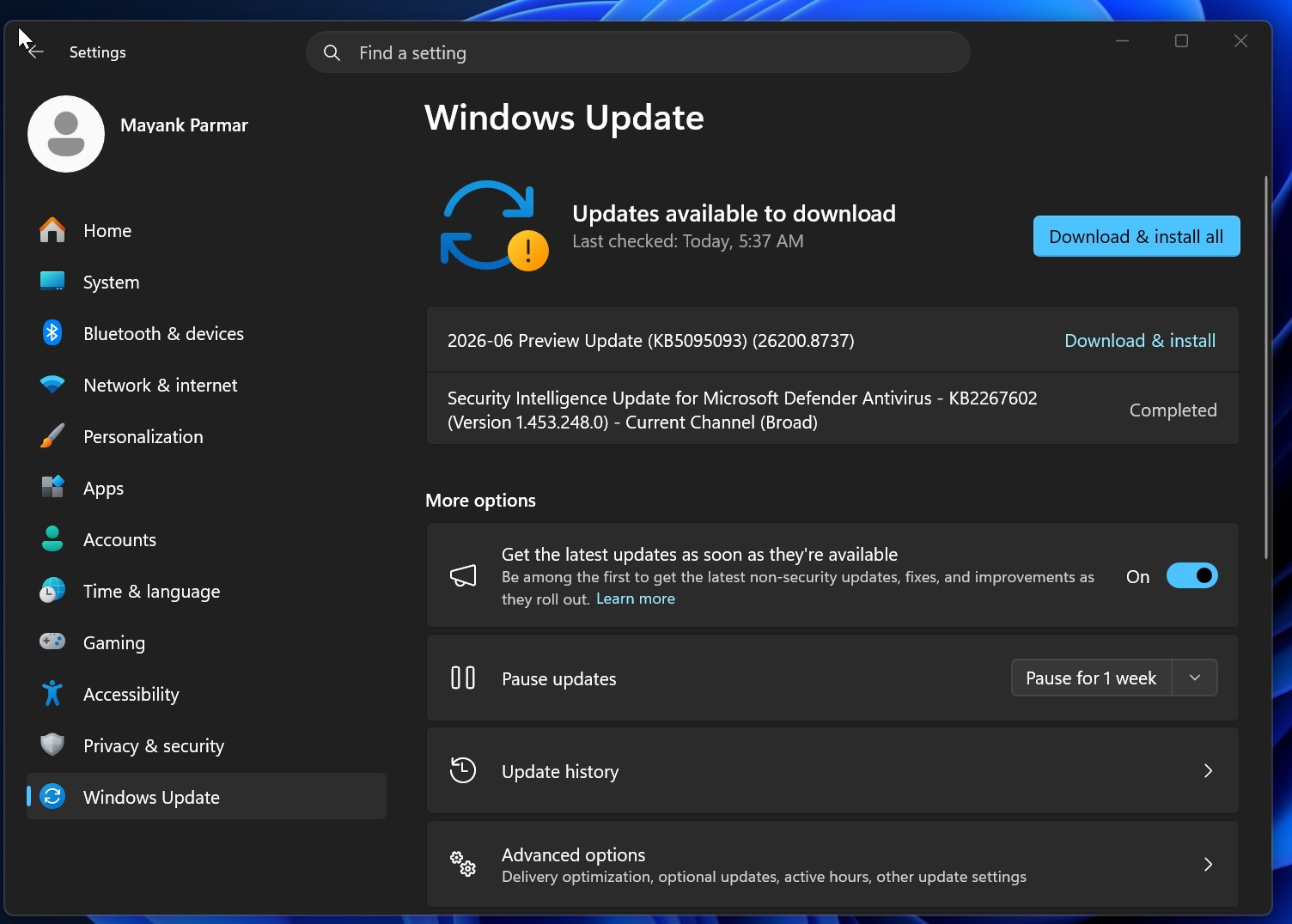 2026-06 Preview Update (KB5095093) (26200.8737)