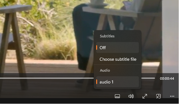 No caption customization settings