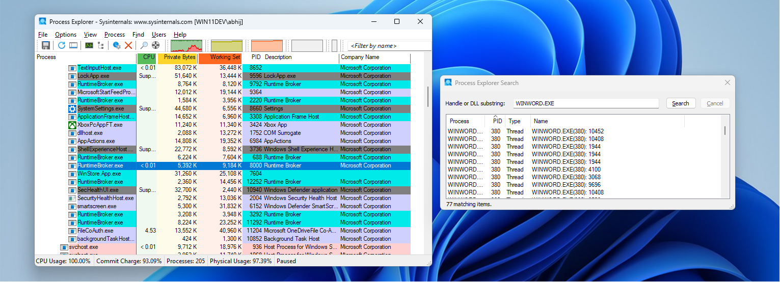 Process Explorer showing Handle