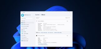 Windows 11 24H2 version