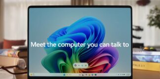 Windows 11 AI models