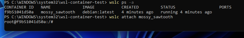 reattaching to the container name mossy_sawtooth