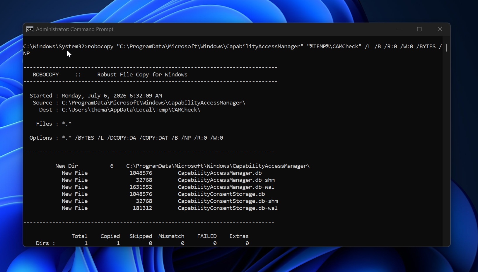 CapabilityAccessManager file usage