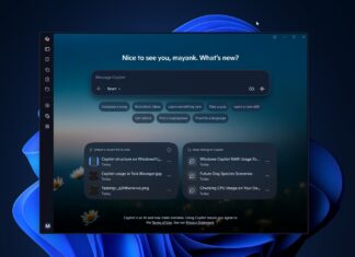 Windows 11 Copilot now tells you what’s slowing down your PC, while using 1GB RAM itself Copilot for Windows 11