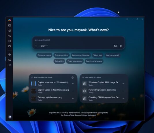 Windows 11 Copilot now tells you what’s slowing down your PC, while using 1GB RAM itself Copilot for Windows 11