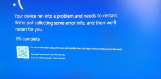 Windows 11 Dell Issue