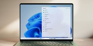 Windows 11 Search gets a cleaner, less cluttered box for Insiders