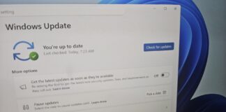 Windows 11 get the latest updates toggle