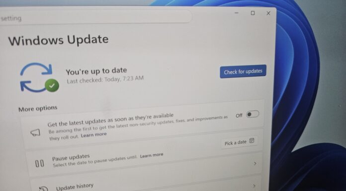 Windows 11’s Get updates early toggle is auto-installing updates you don’t need, here’s how to turn it off
