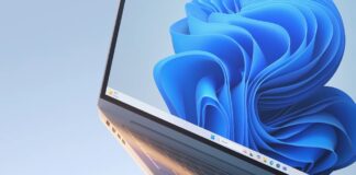 Windows 11 shared audio update