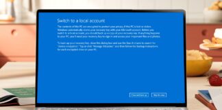Windows 11 still tells users to open a Search charm that has not existed since Windows 8.