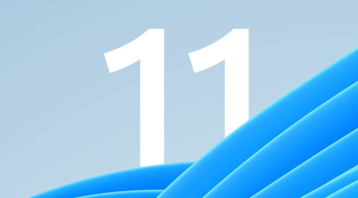 No, Windows did not fall below 60% market share or lose 15 points to Linux