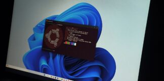 Developers handed Windows laptops by employers are increasingly running Ubuntu through WSL for AI and machine learning work
