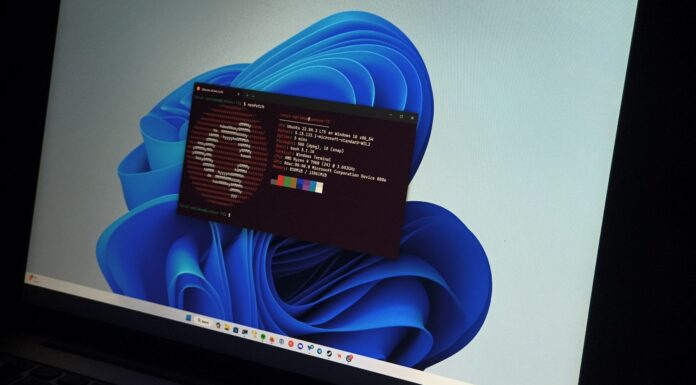 Ubuntu is growing faster on Windows 11 than on native Linux PCs, says Canonical Developers handed Windows laptops by employers are increasingly running Ubuntu through WSL for AI and machine learning work
