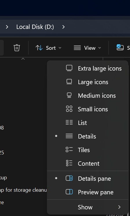 File Explorer View