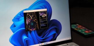 Raymond Chen reveals why a 64-bit bug got Pinball permanently cut from Windows.
