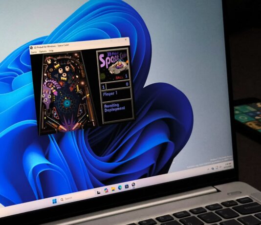 Raymond Chen reveals why a 64-bit bug got Pinball permanently cut from Windows.