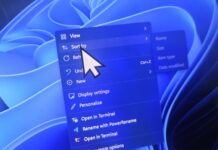 Windows 11 KB5120998 issue