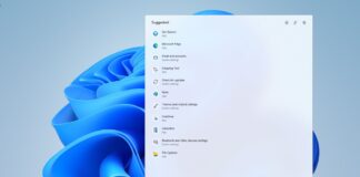 Windows 11 New Search Indexing feature