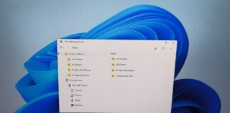 Windows 11's redesigned Print Management tool is now live in the Release Preview channel.
