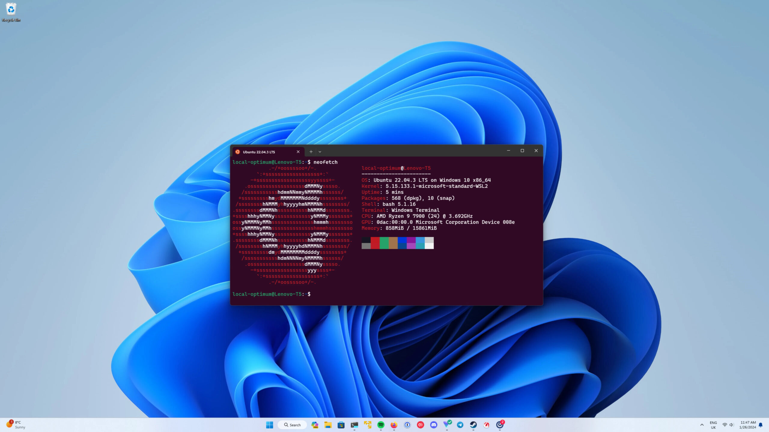 Windows Subsystem for Linux (WSL)