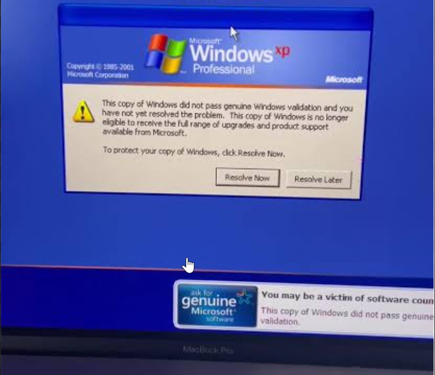 Windows XP piracy