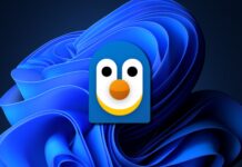Windows and Linux
