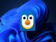 Windows and Linux