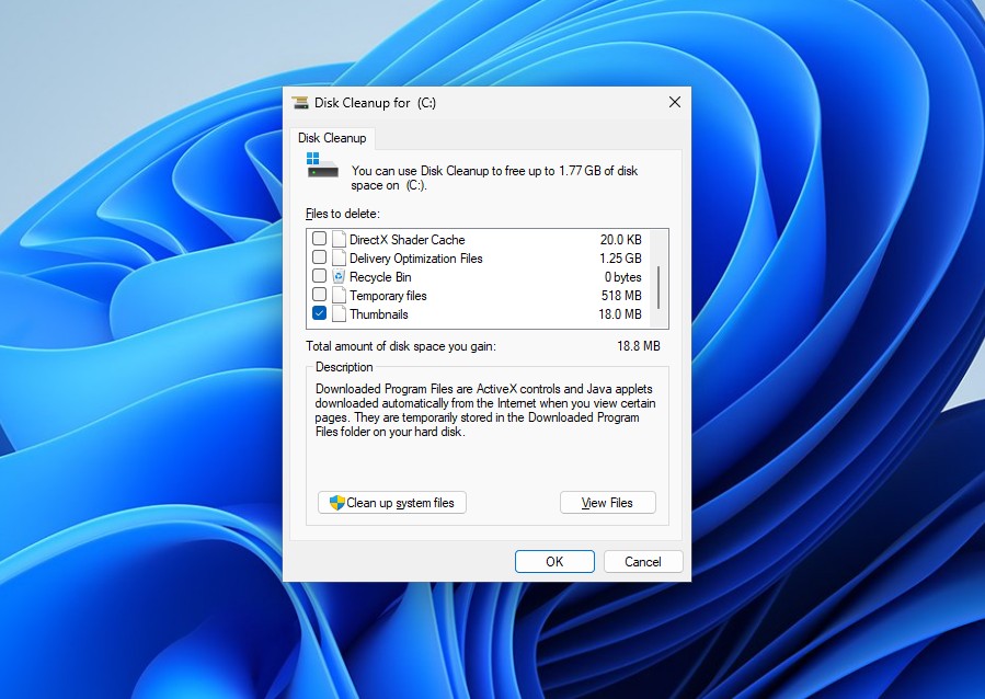 Disk Cleanup in Windows 11 to remove deleted image thumbnails