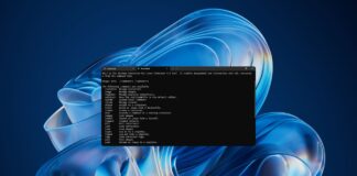 Poll finds Windows at just 12% among developers despite major Windows 11 upgrades