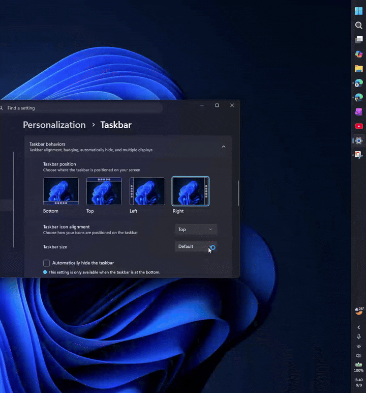 Taskbar smaller size option