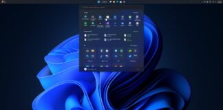 Windows 11 KB5124008 update