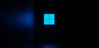 Windows 11 KB5124010 update
