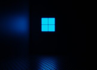 Windows 11 KB5124010 update