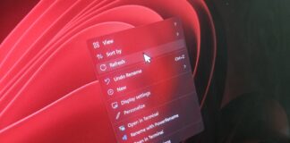 Windows 11 cursor issue