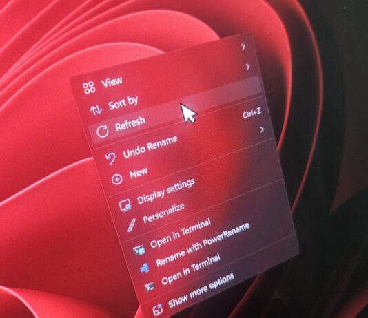 Windows 11 cursor issue