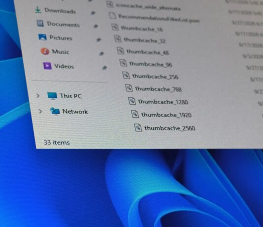 Windows 11 stores image previews in thumbcache database files inside the Explorer folder of your user profile