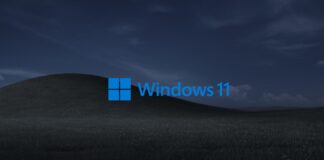 Windows 11 wallpaper issue