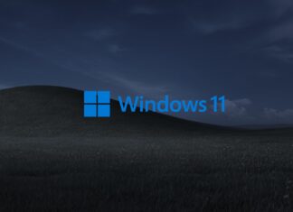 Windows 11 wallpaper issue