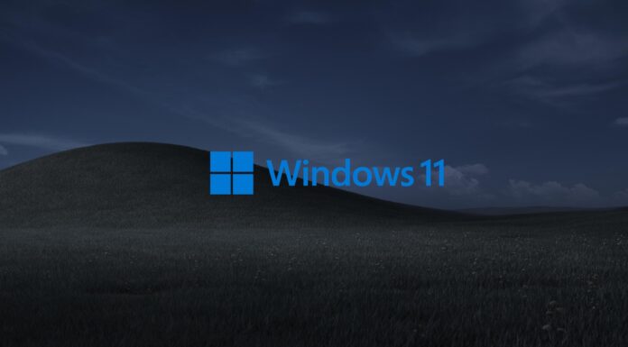 Windows 11 wallpaper issue