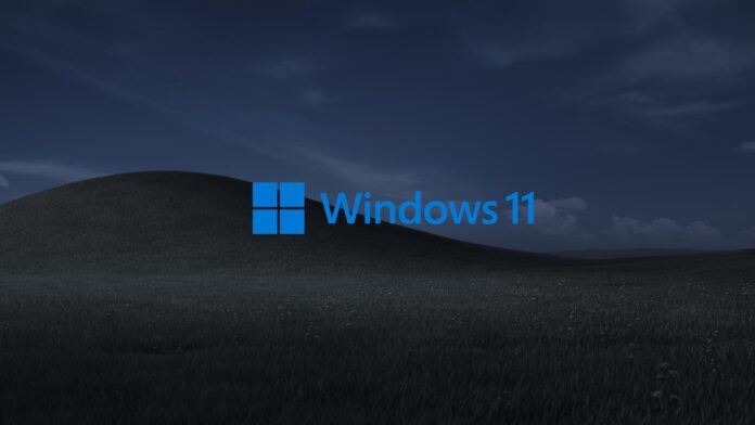 Windows 11 wallpaper issue Windows 11 wallpaper issue