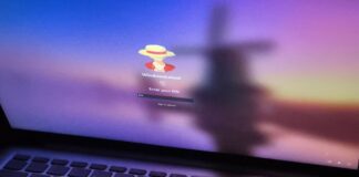 Windows 11's AccountPicture registry keys can be redirected to keep GIFs animated