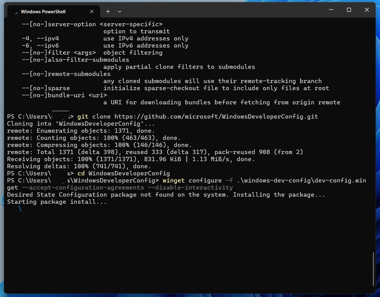 Microsoft just made a special Windows 11 for power users that